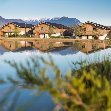 Green Resort Bran برانْ المظهر الخارجي الصورة