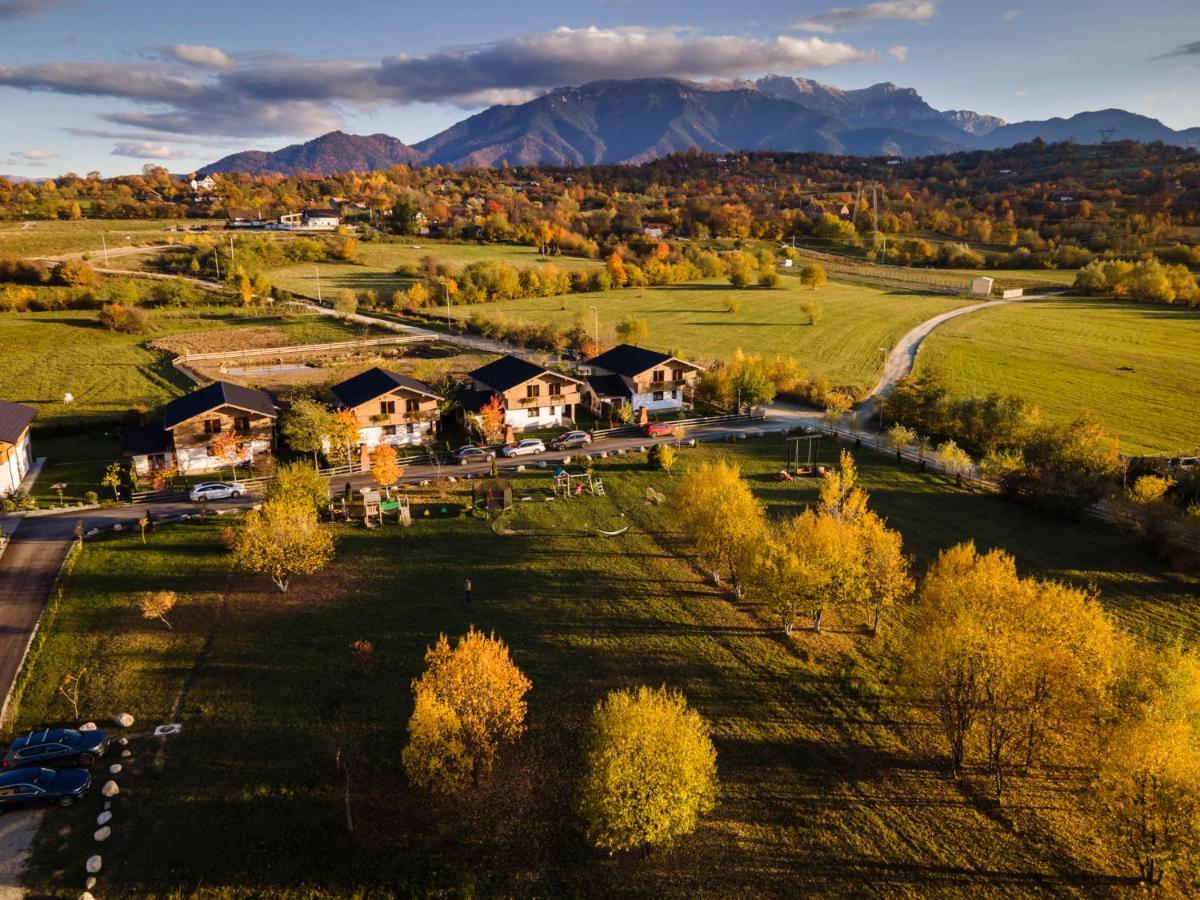 Green Resort Bran برانْ المظهر الخارجي الصورة