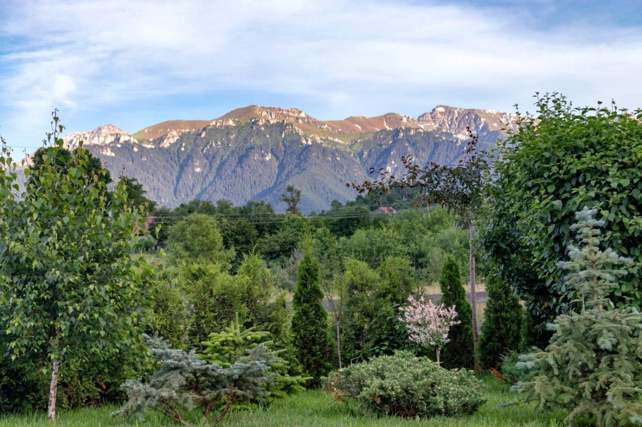Green Resort Bran برانْ المظهر الخارجي الصورة