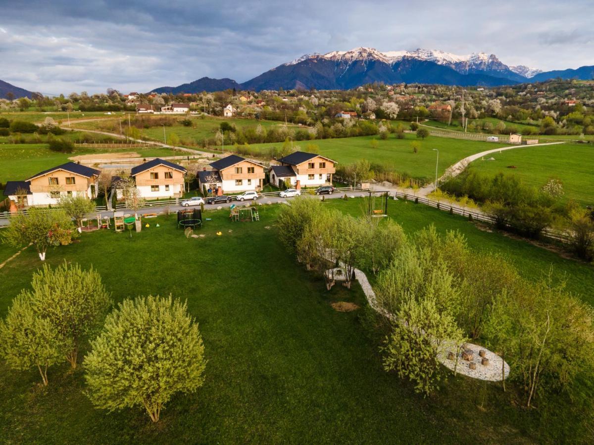 Green Resort Bran برانْ المظهر الخارجي الصورة
